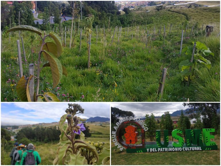 El reverdecer del único parque arqueológico de Bogotá