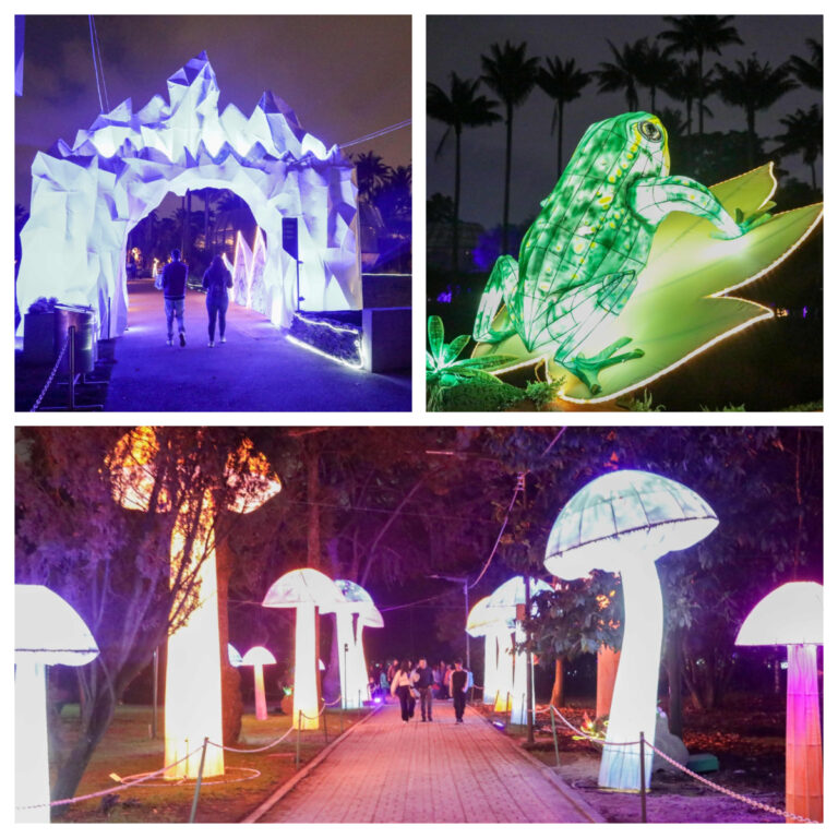¡Buenas noticias! ahora puedes elegir la franja horaria de tu preferencia para visitar el festival de luces MajestuOSOS