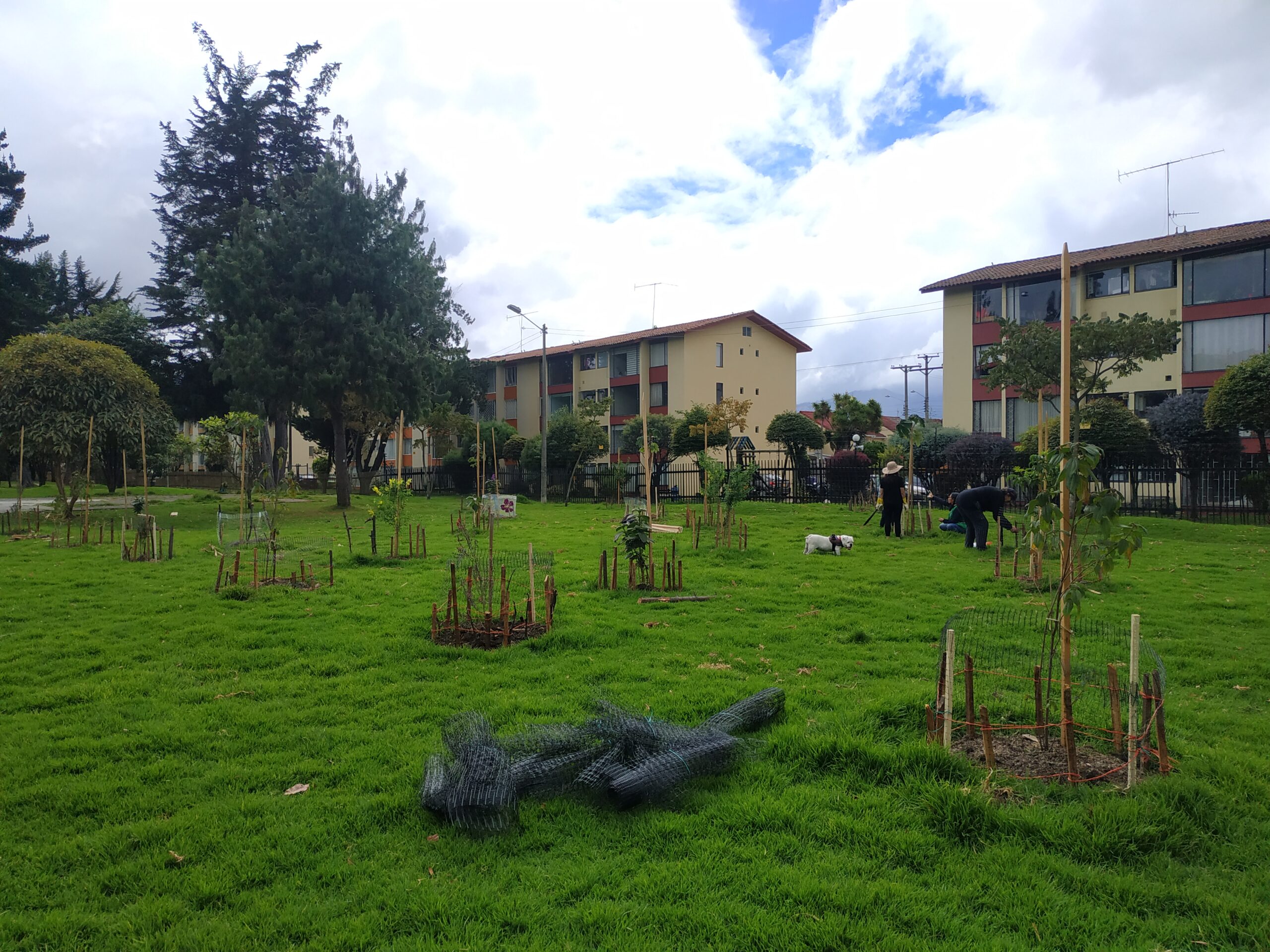 ¡La comunidad protege los nuevos árboles del bosque urbano Santa Helena!