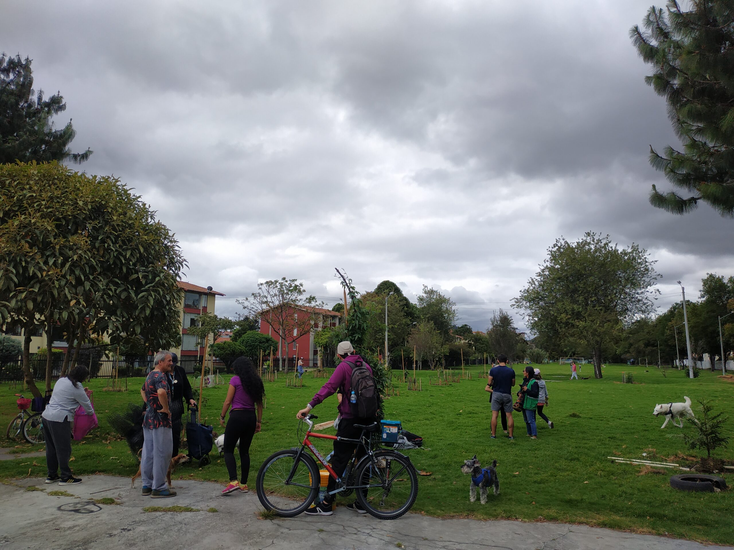 ¡La comunidad protege los nuevos árboles del bosque urbano Santa Helena!