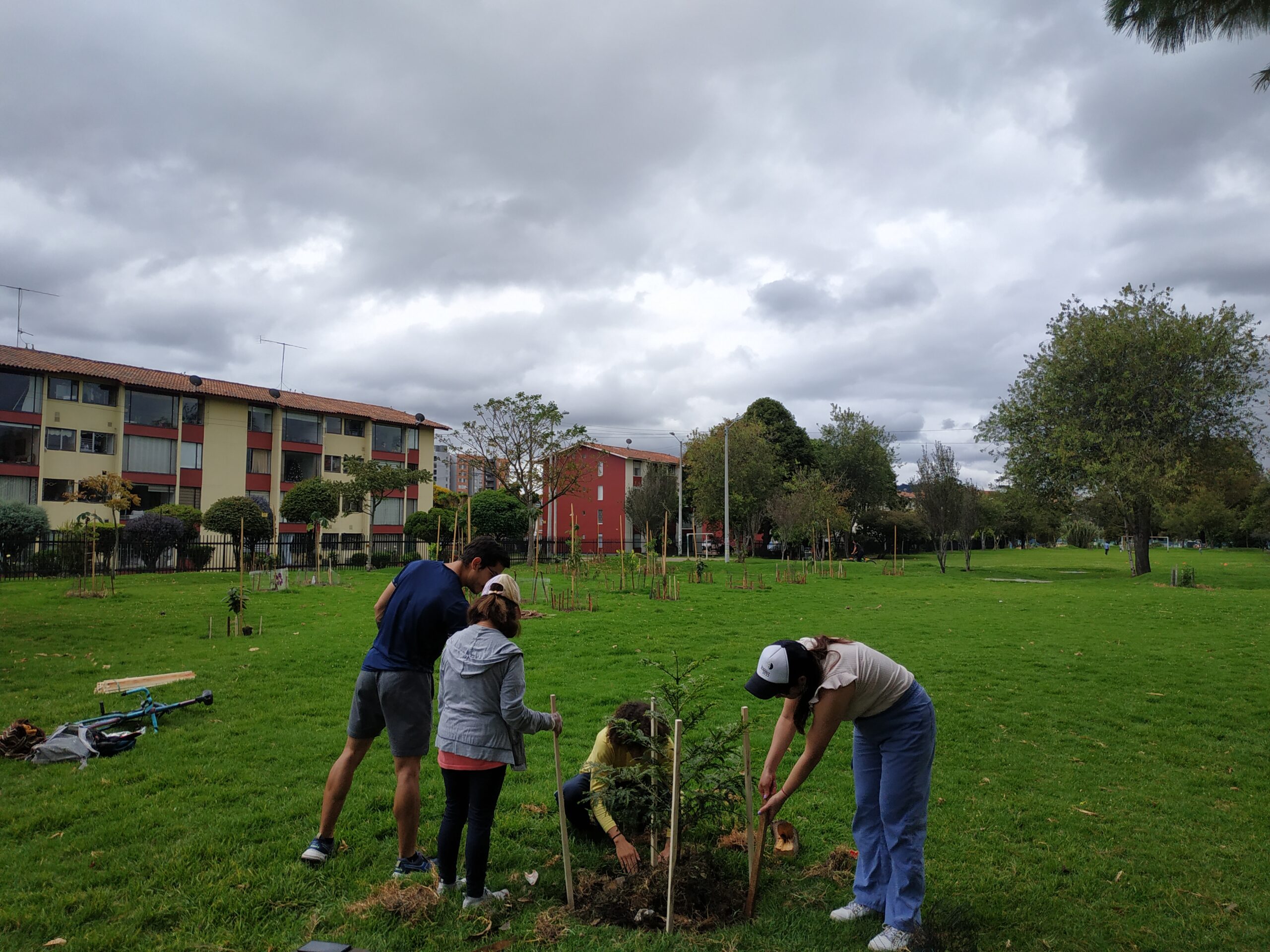 ¡La comunidad protege los nuevos árboles del bosque urbano Santa Helena!
