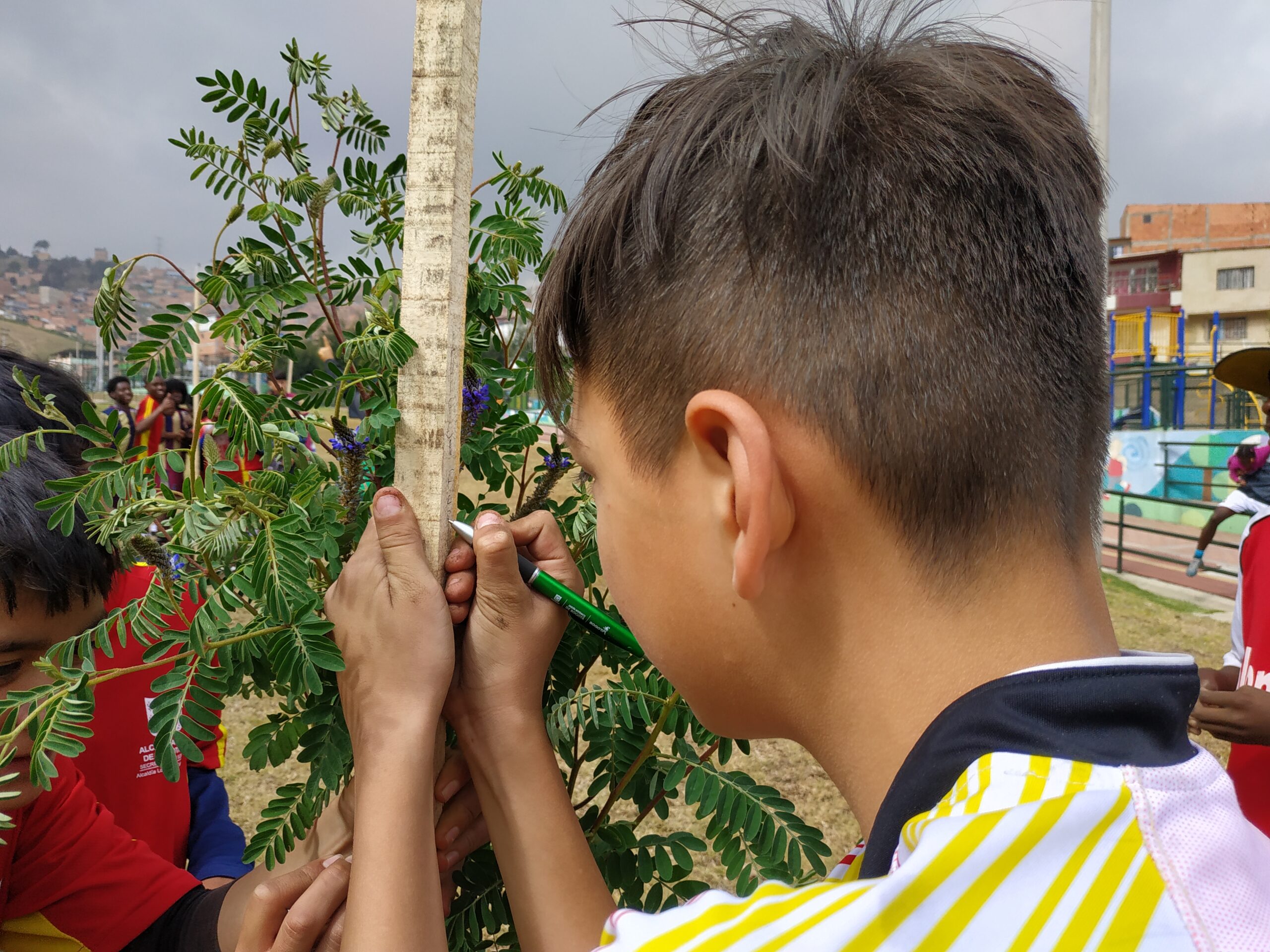 Illimaní: un parque de Ciudad Bolívar que reverdeció con las manos de 100 niños y jóvenes