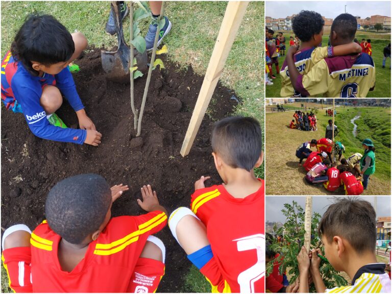 Illimaní: un parque de Ciudad Bolívar que reverdeció con las manos de 100 niños y jóvenes