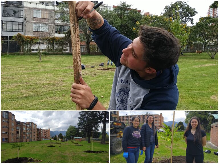 ¡La Universidad Nacional sigue reverdeciendo!