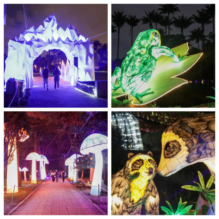 Aprovecha las últimas dos semanas del festival de luces MajestuOsos en el Jardín Botánico de Bogotá
