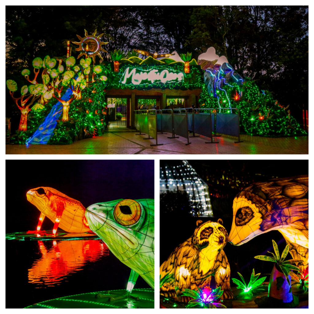Por cierre de temporada se activa promoción 4x3 en festival de luces MajestuOsos en el Jardín Botánico de Bogotá
