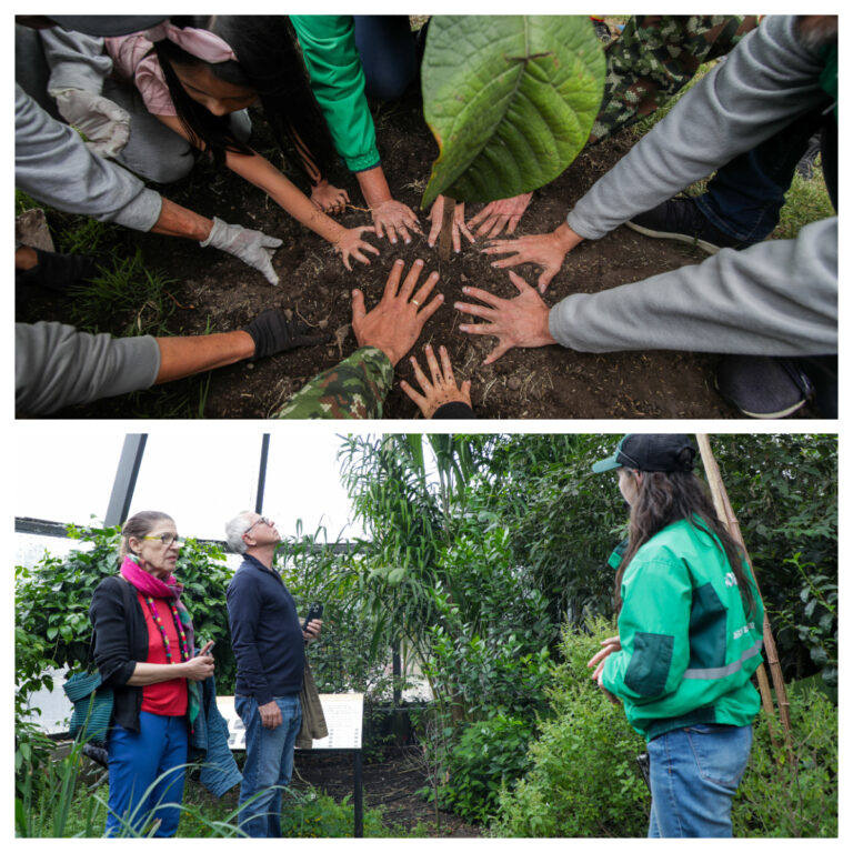 En la Semana de la Educación Ambiental del Jardí