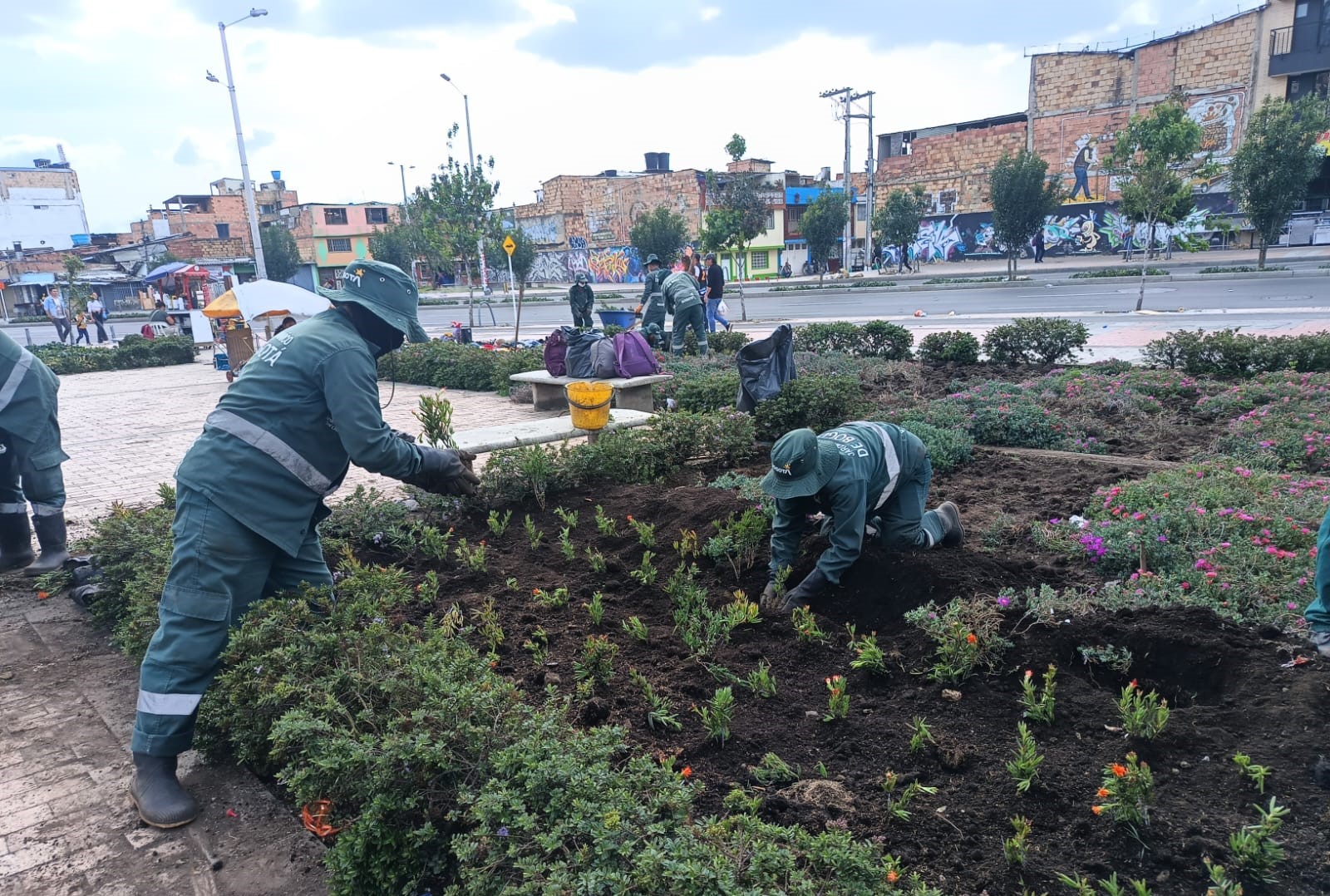 ¡SOS por las jardineras de la Avenida El Rincón-Tabor!