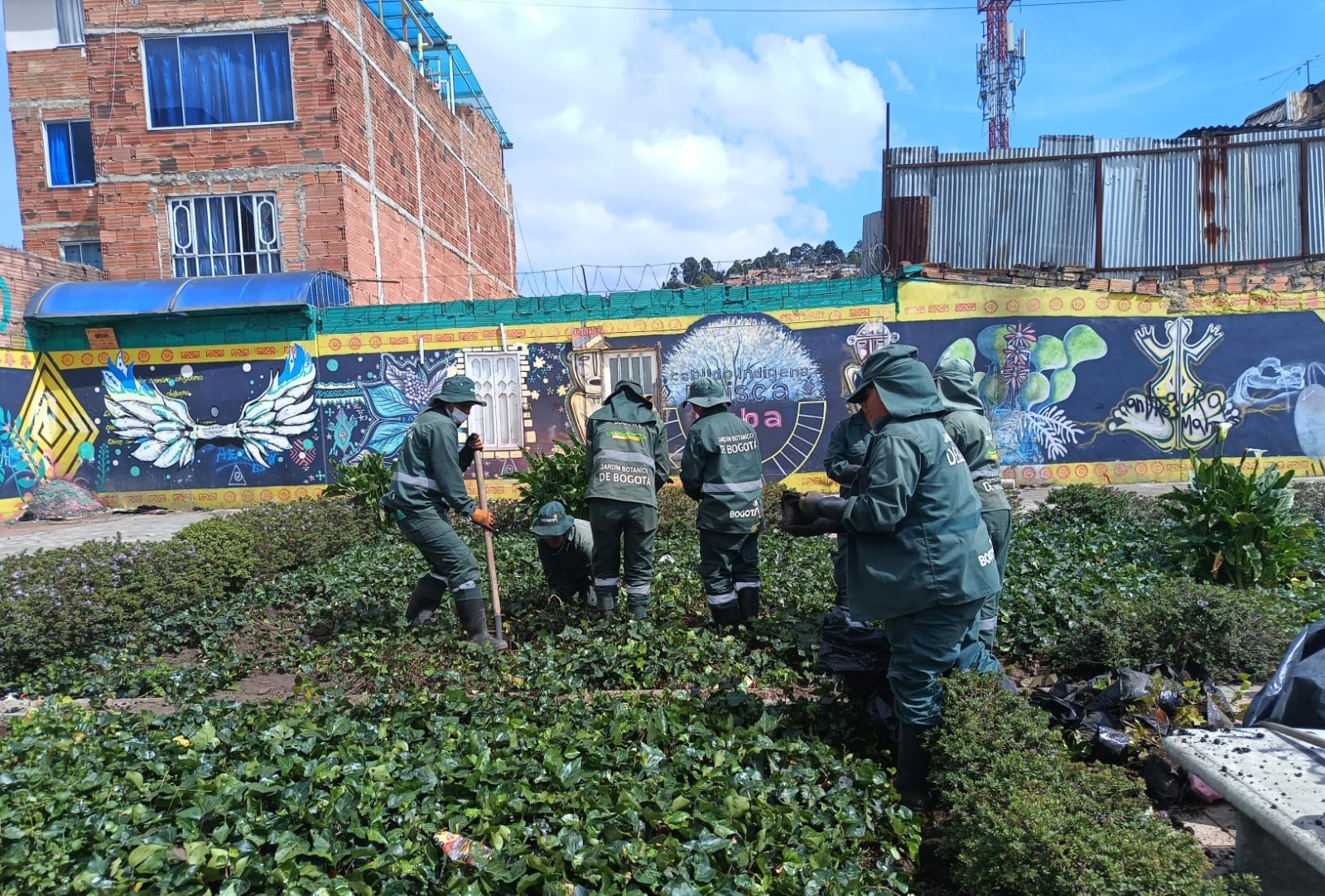 ¡SOS por las jardineras de la Avenida El Rincón-Tabor!