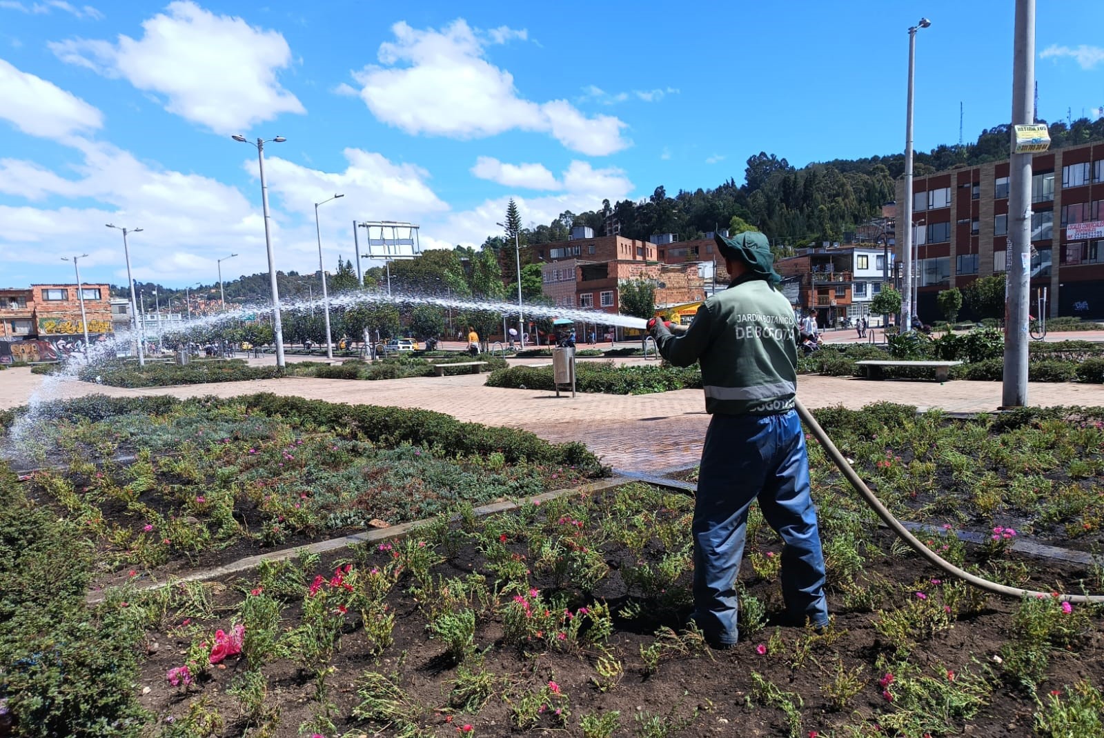 ¡SOS por las jardineras de la Avenida El Rincón-Tabor!