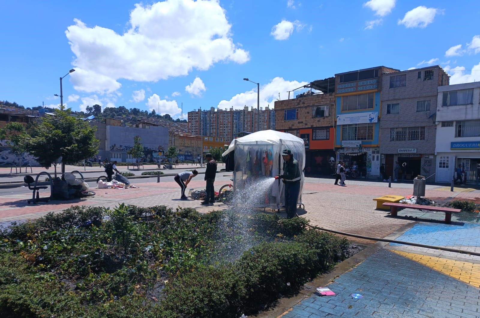 ¡SOS por las jardineras de la Avenida El Rincón-Tabor!