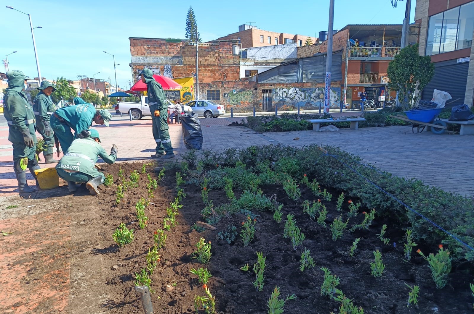 ¡SOS por las jardineras de la Avenida El Rincón-Tabor!