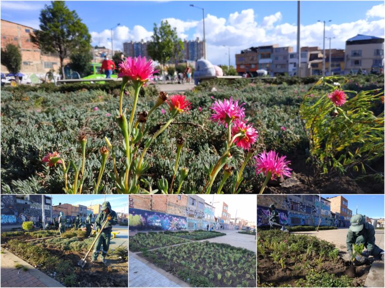 ¡SOS por las jardineras de la Avenida El Rincón-Tabor!