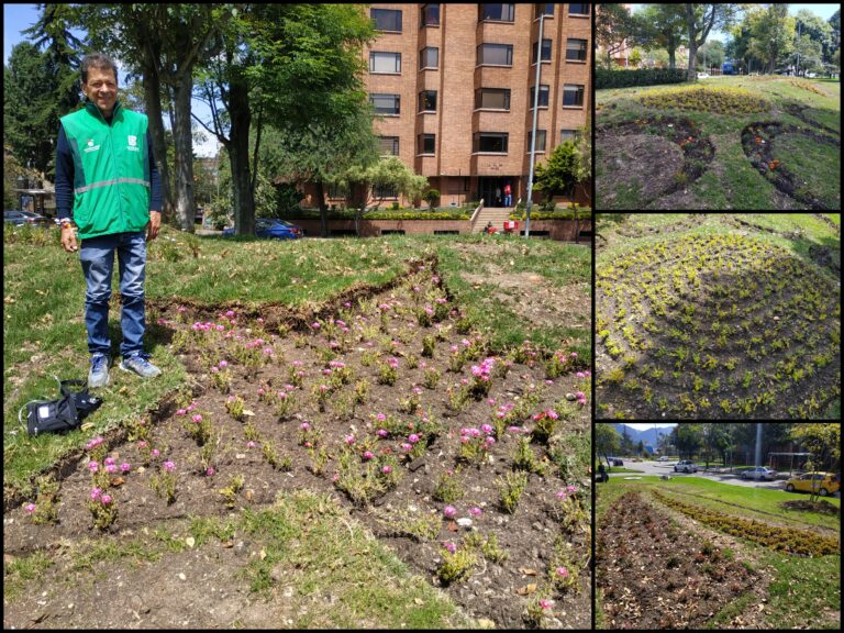 ¡Vuelven a brillar los cuerpos celestes de una jardinera icónica de Teusaquillo!