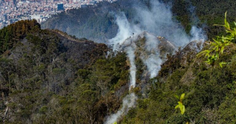 ¿Cómo los incendios forestales amenazan la biodiversidad en Bogotá?