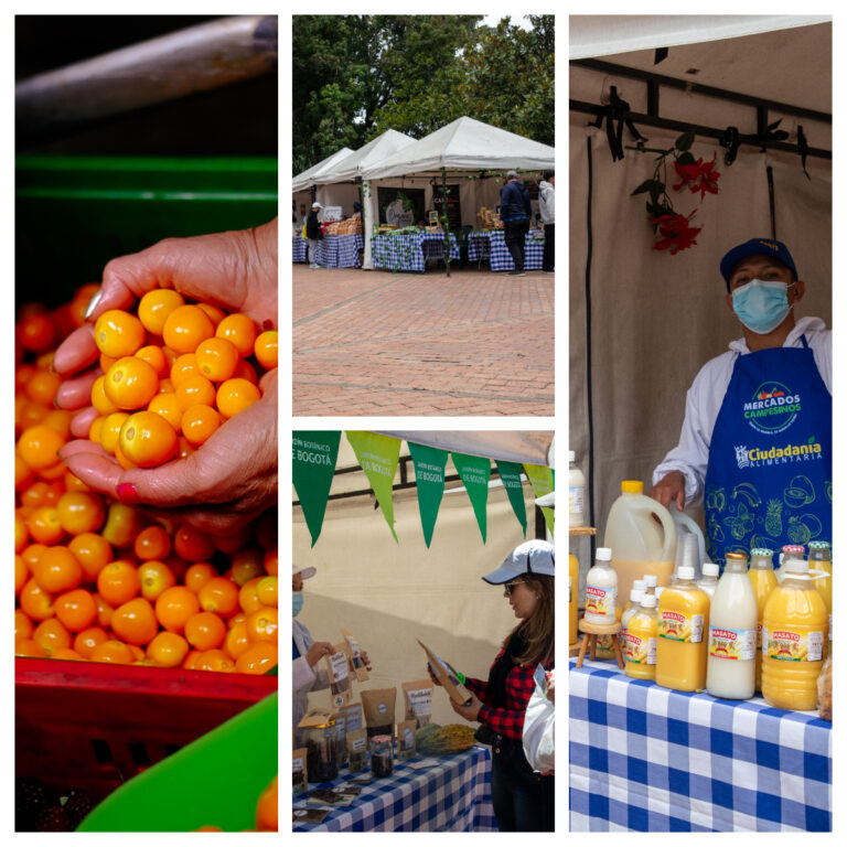 ¡Agéndate este fin de semana!, las mujeres agricultoras son protagonistas en nuestro mercado campesino de Bogotá es mi Huerta
