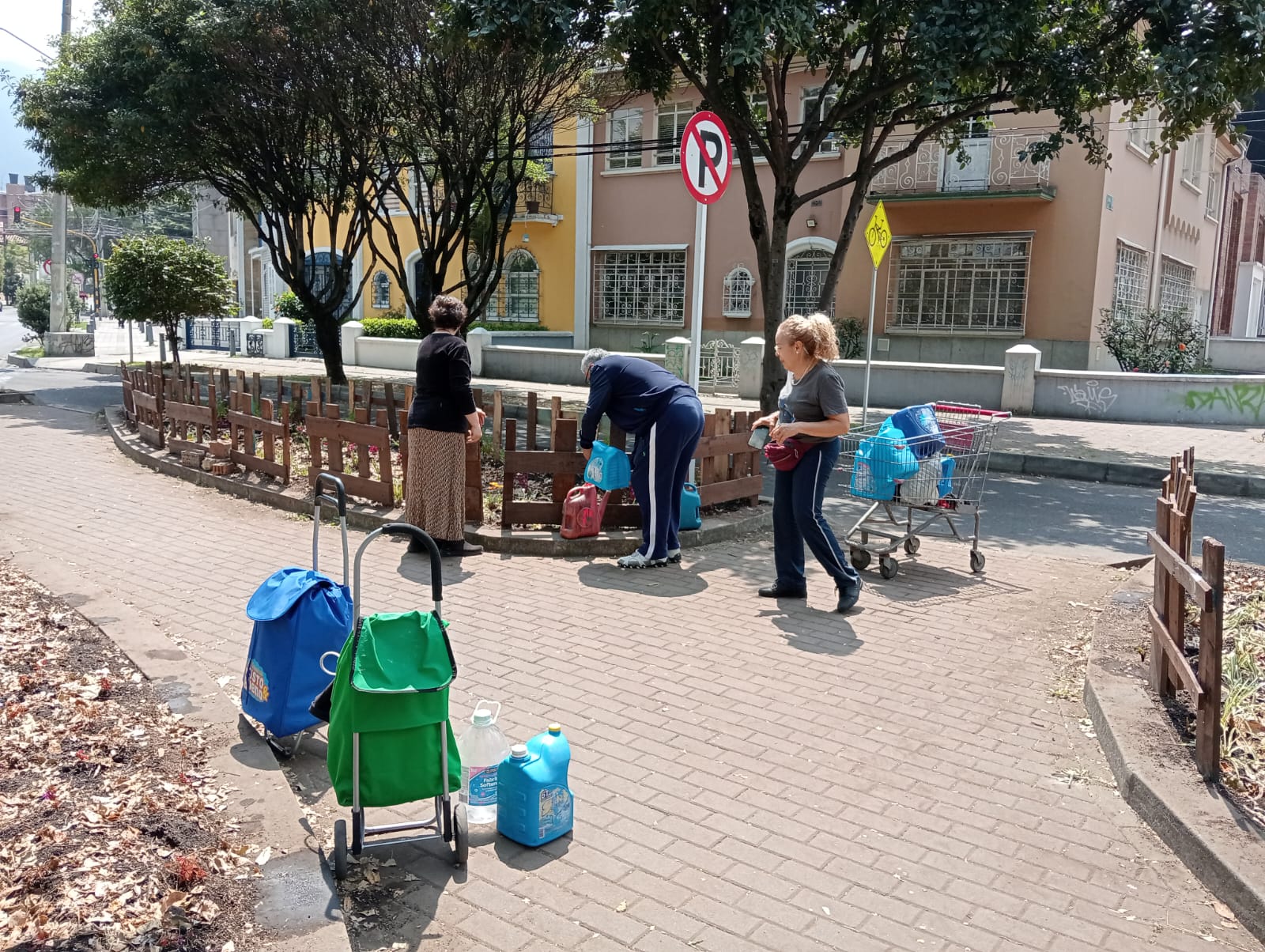 La jardinera del Park Way que volvió a la vida con ayuda de la comunidad