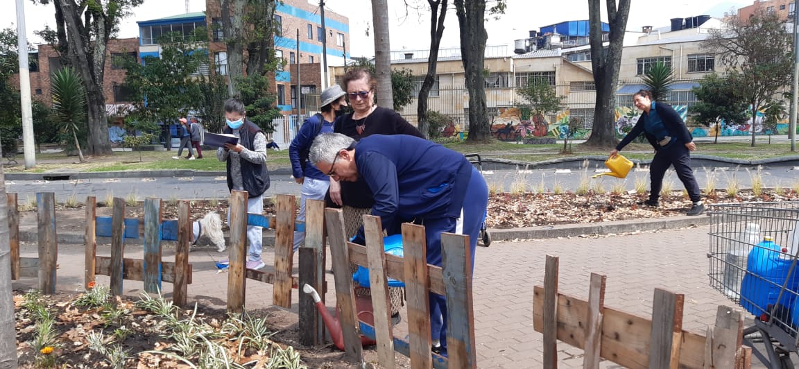La jardinera del Park Way que volvió a la vida con ayuda de la comunidad