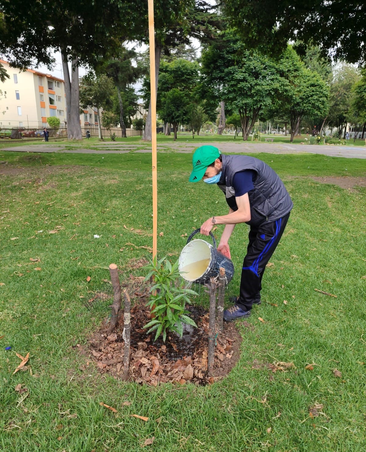 ¡Maratón de riegos para proteger las coberturas vegetales!