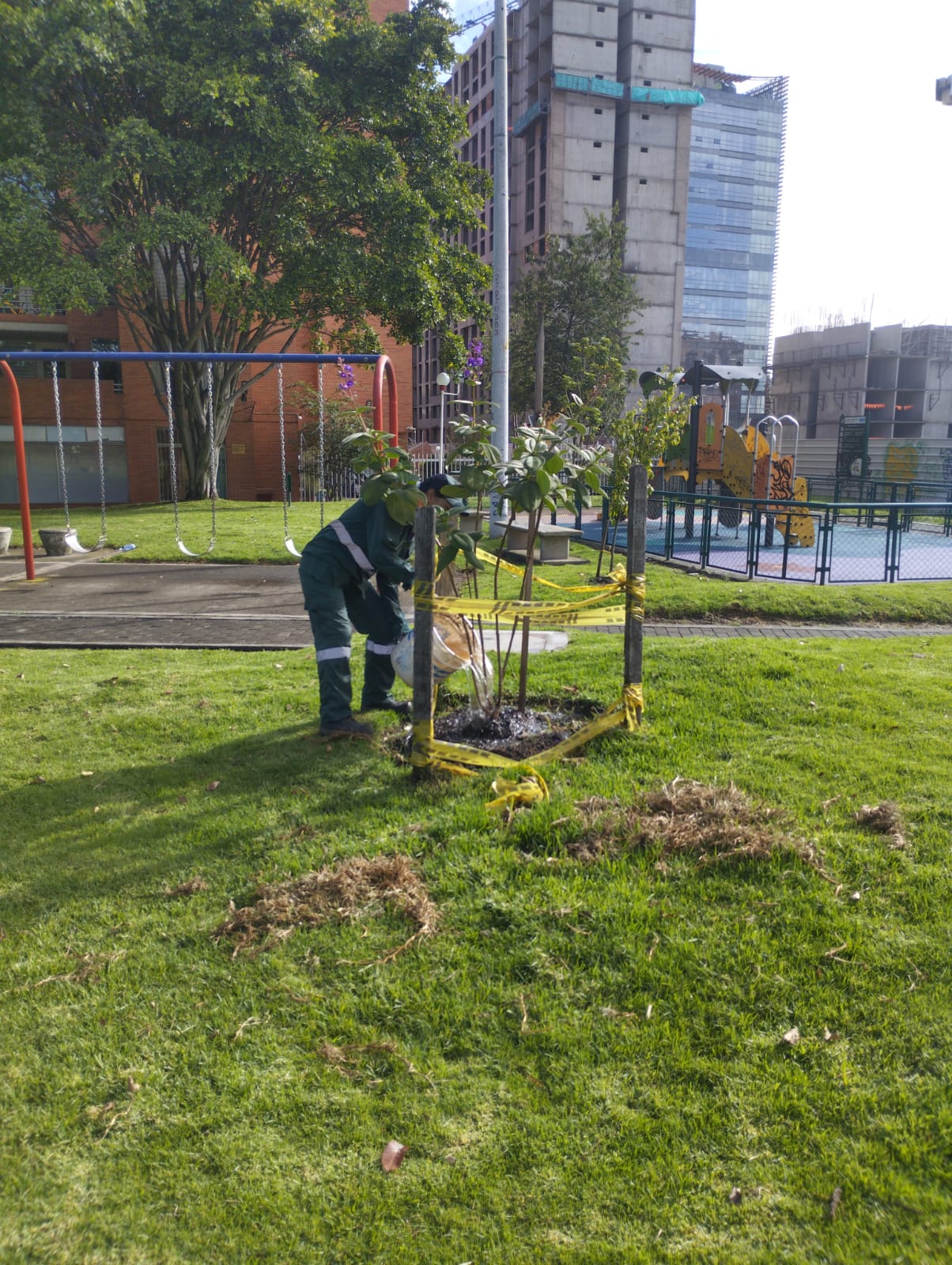 ¡Maratón de riegos para proteger las coberturas vegetales!