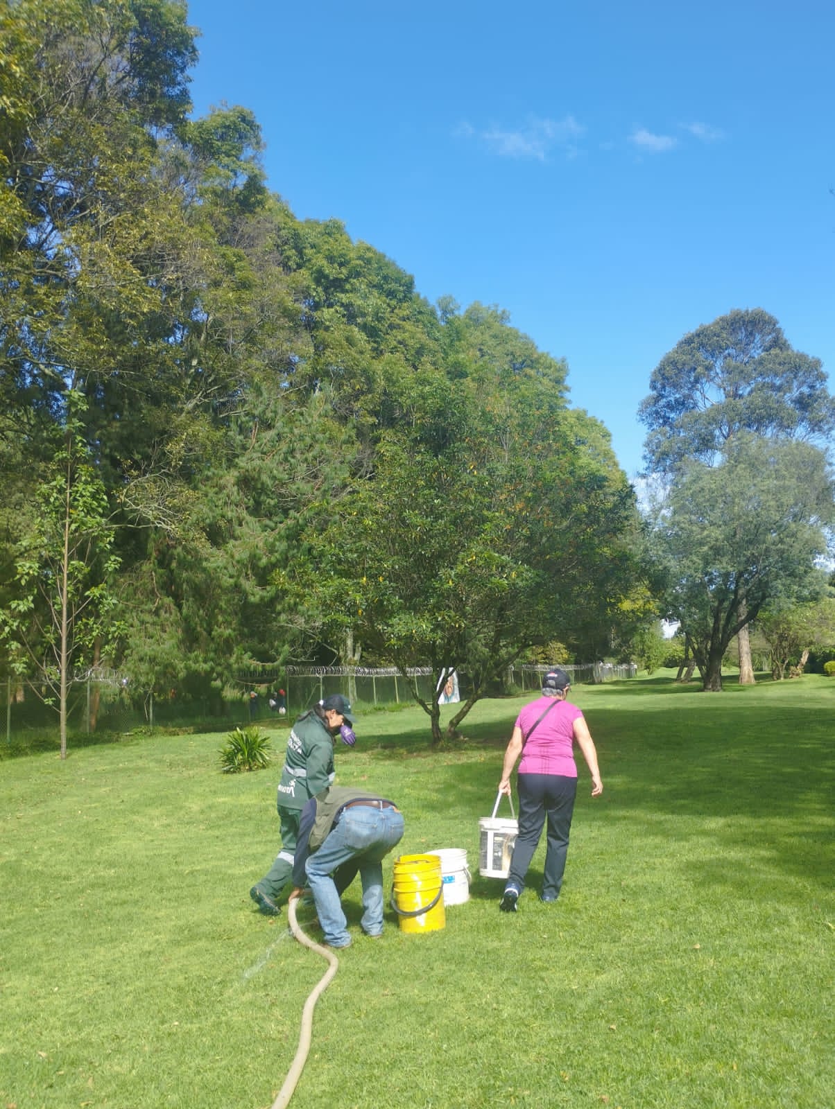 ¡Maratón de riegos para proteger las coberturas vegetales!