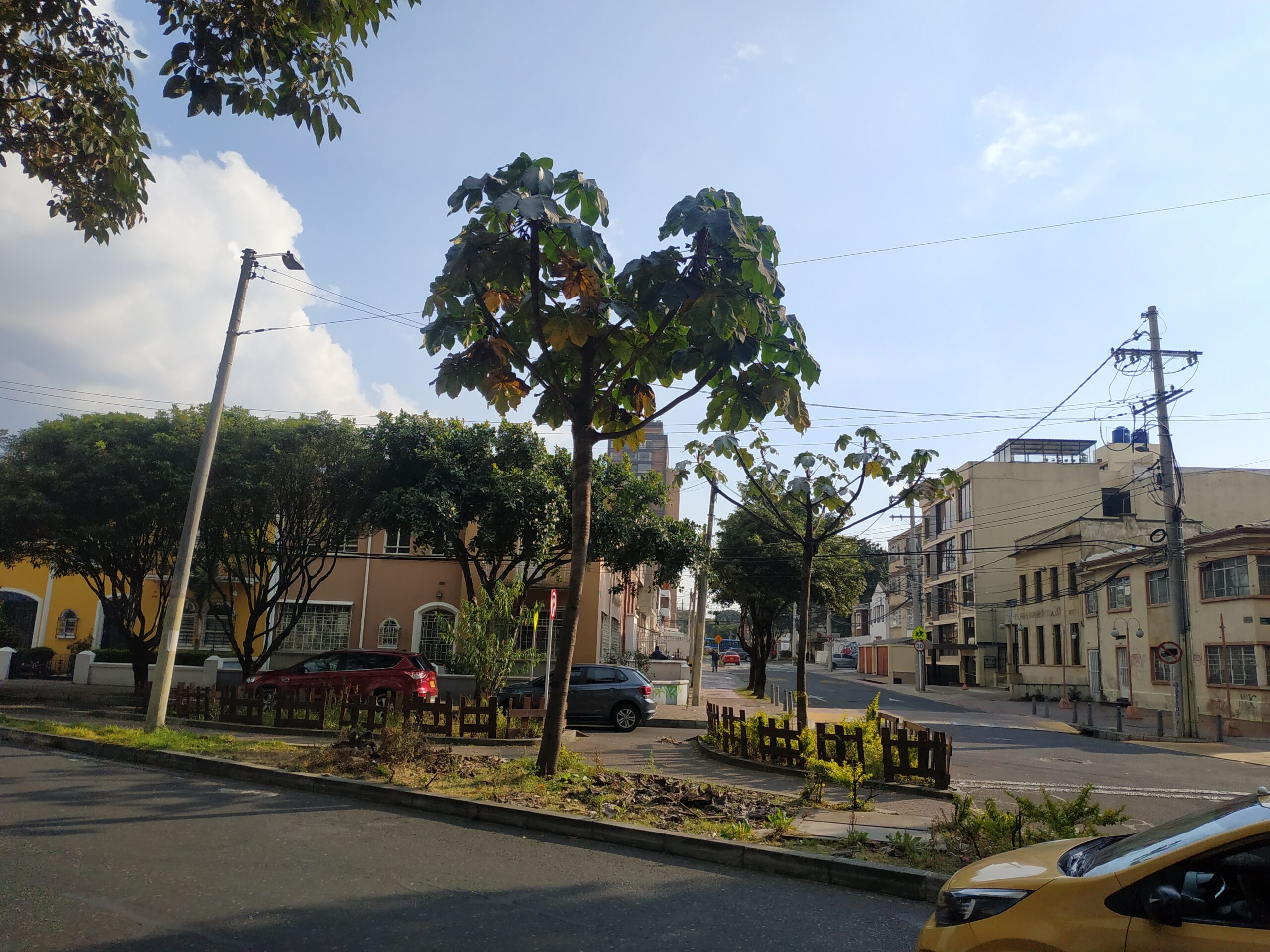 La jardinera del Park Way que volvió a la vida con ayuda de la comunidad
