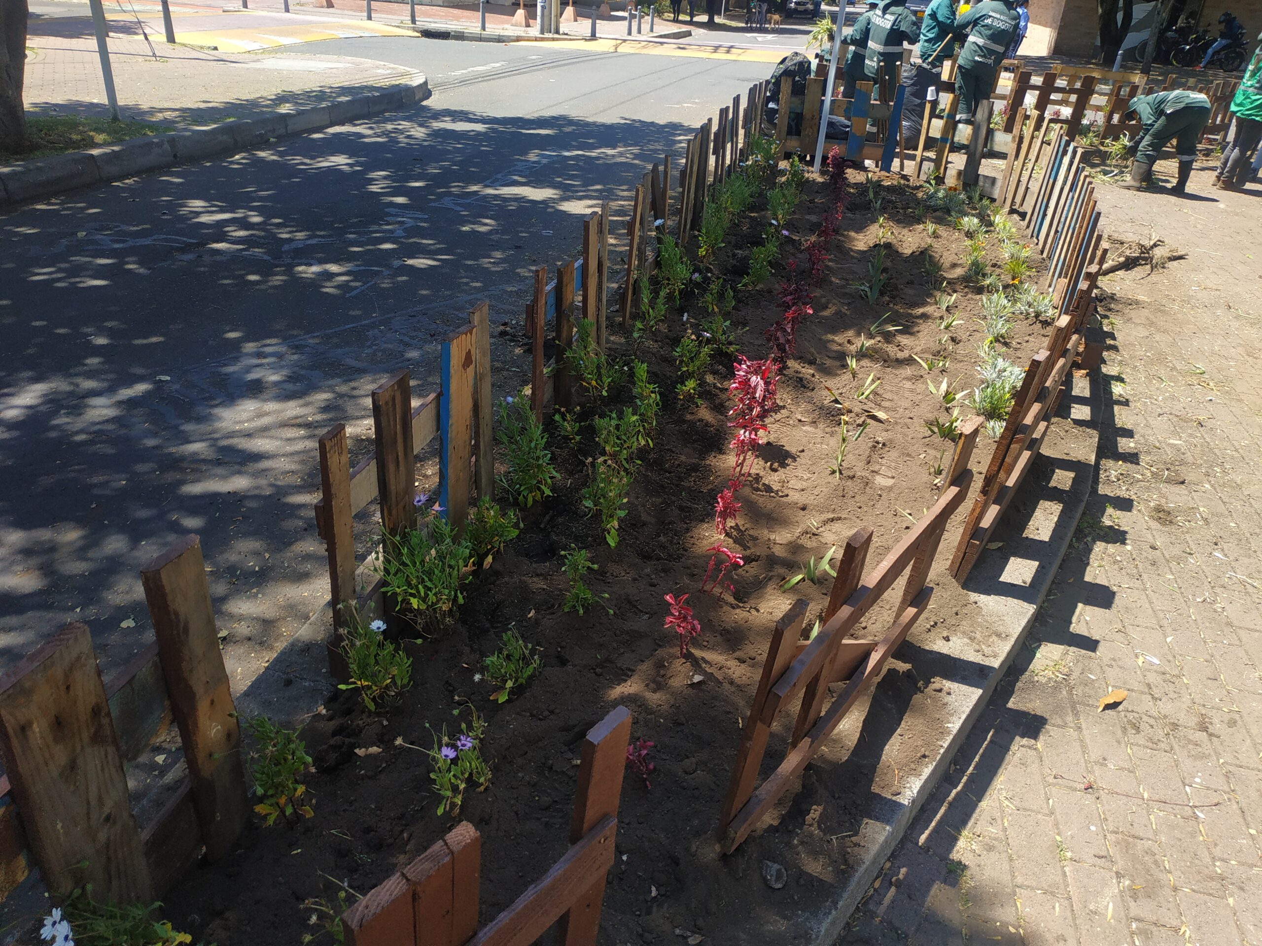 La jardinera del Park Way que volvió a la vida con ayuda de la comunidad