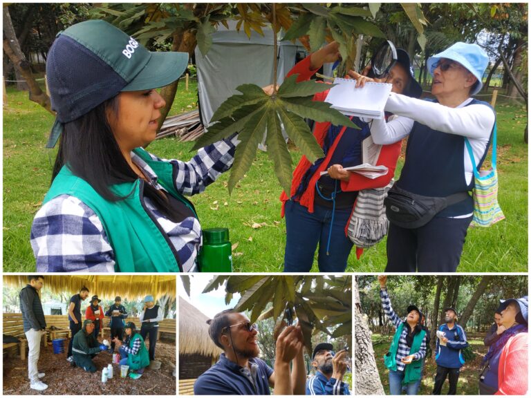 Una clase de tratamientos fitosanitarios en Ciudad Montes