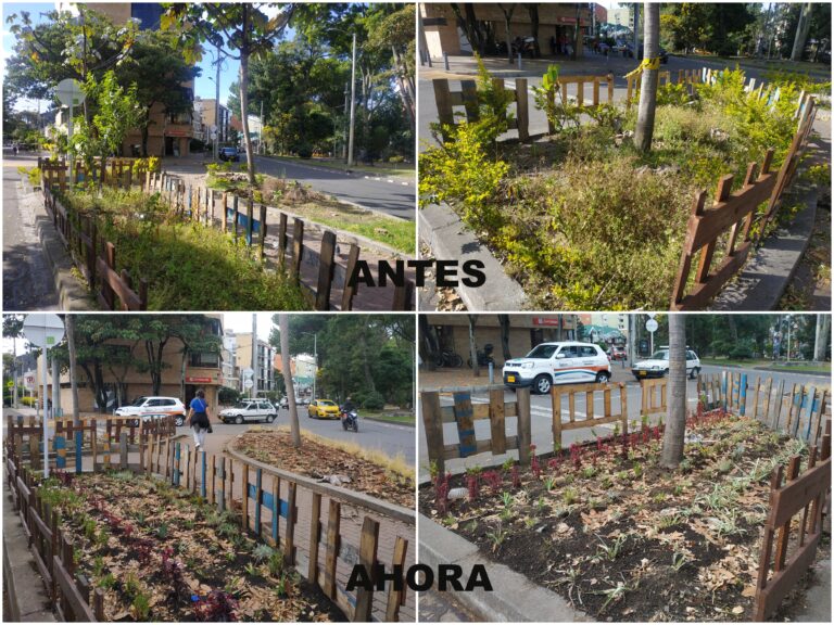 La jardinera del Park Way que volvió a la vida con ayuda de la comunidad