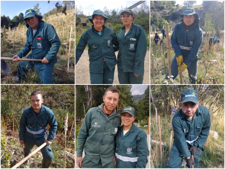 zonas rurales de Usme con especies nativas