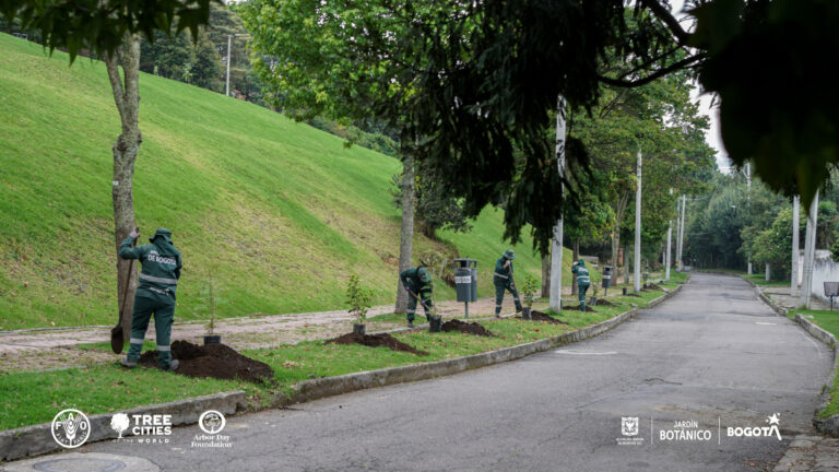 Bogotá es reconocida por cuarto año consecutivo como 'Ciudad Arbolada del Mundo'