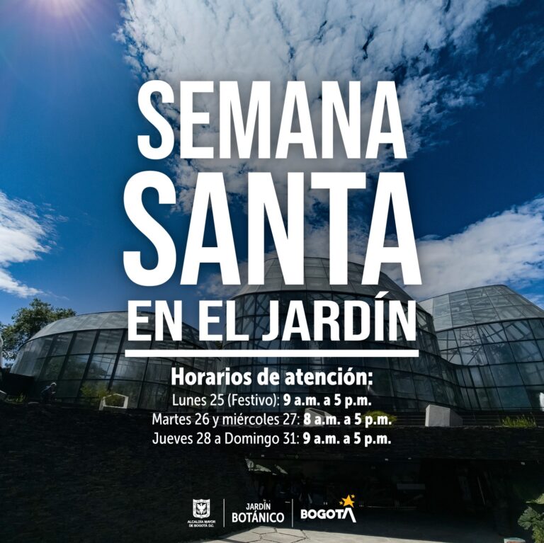 Banner semana santa 2024
