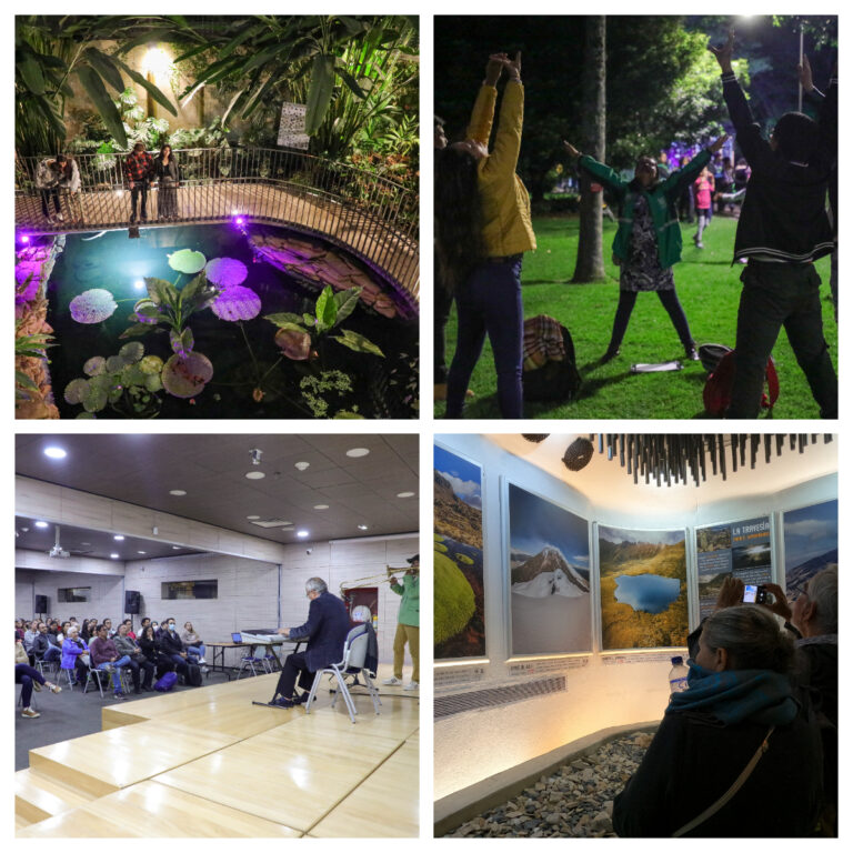 Jardín de noche abril 2024