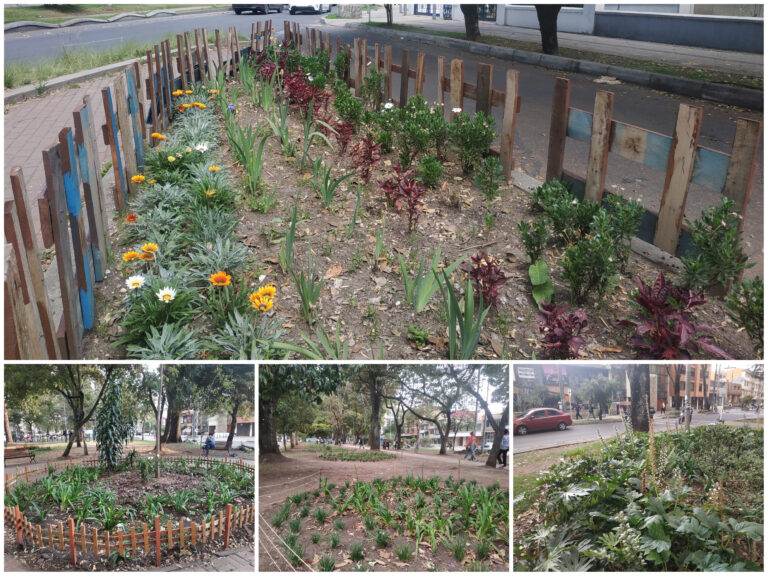 Las 24 nuevas jardineras del Park Way