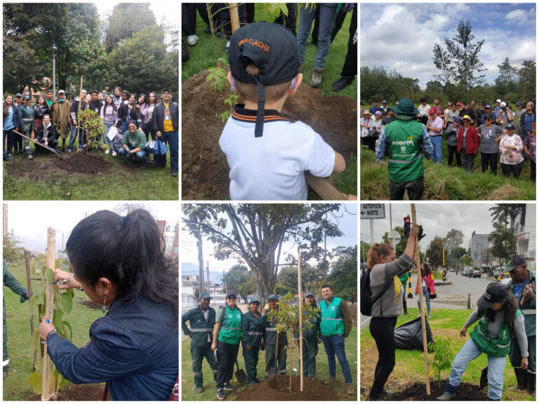 Más de 600 árboles: el regalo de Bogotá a la Madre Tierra en su día