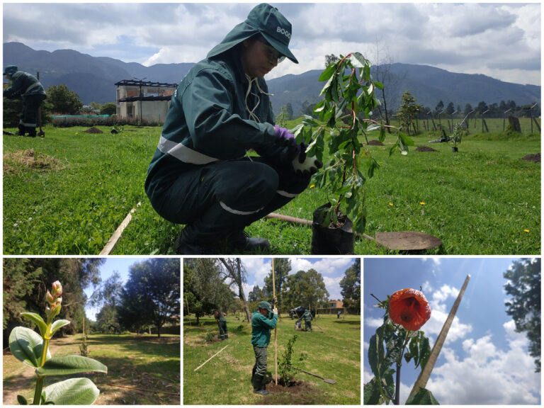 San Simón: el nuevo pulmón verde de Suba