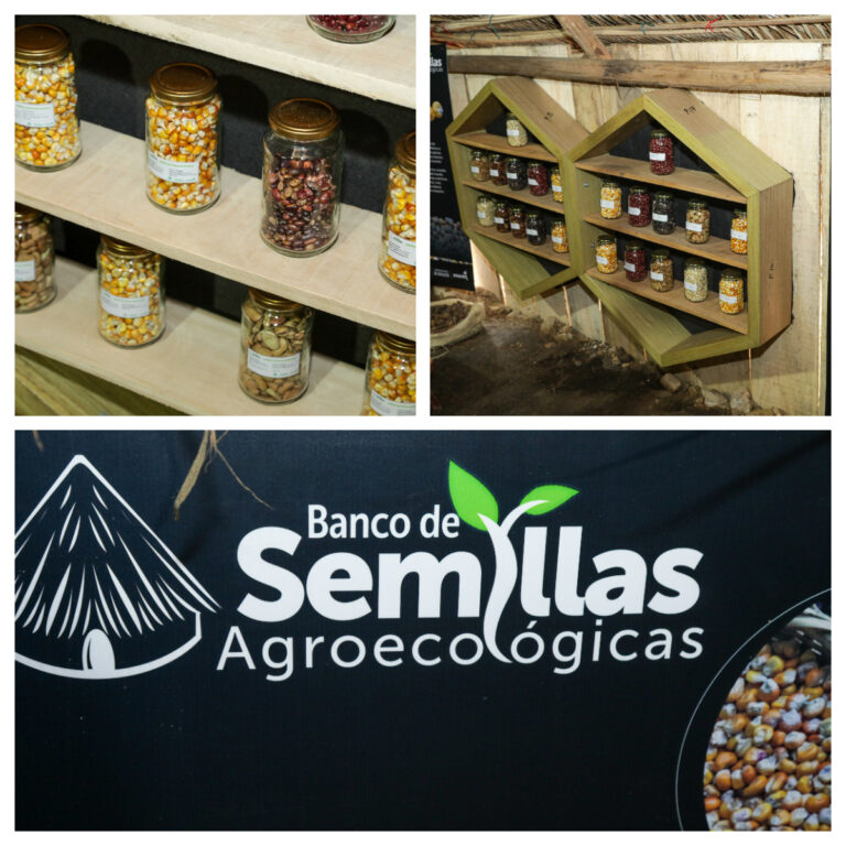 Banco de semillas