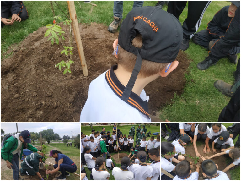 La Igualdad: un parque zonal de Kennedy que recupera sus coberturas vegetales