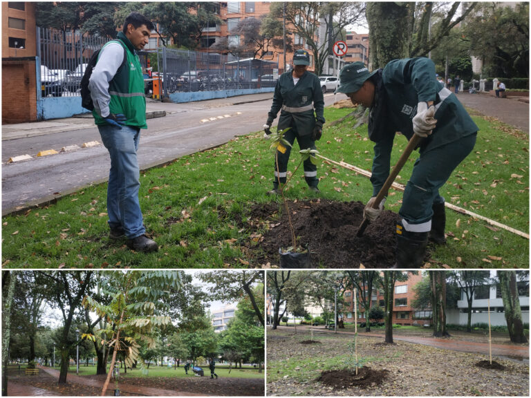El Virrey: un bosque de Chapinero que enriquece más su verde