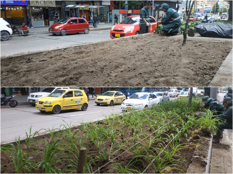 #ElCentroVive fortaleció las jardineras de la Avenida 19