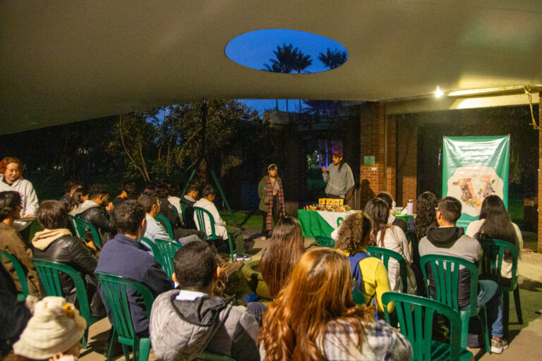 Jardin de noche