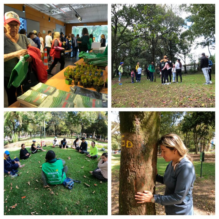 Semana Ambiental