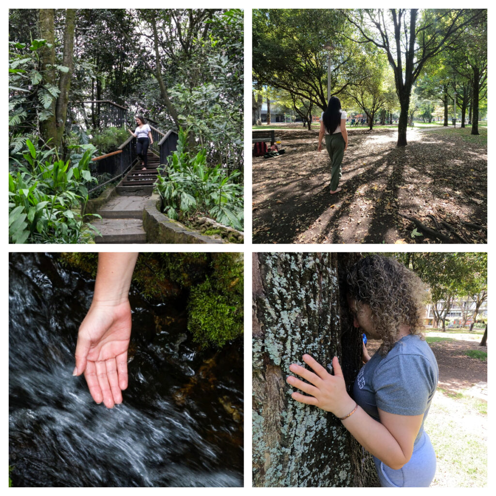 Premio Cástulo Rodríguez Correa 2024