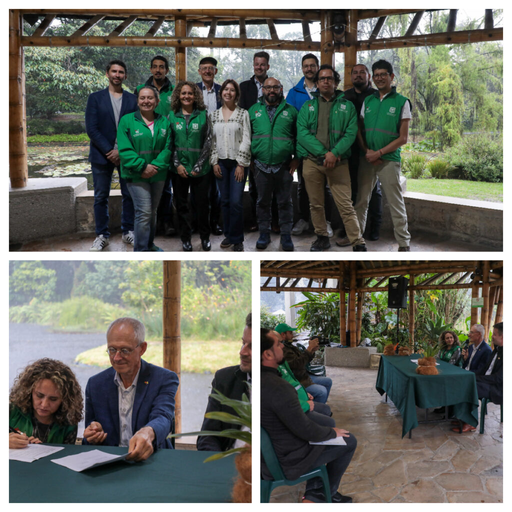 BOSQUE SOSTENIBLE 24.0