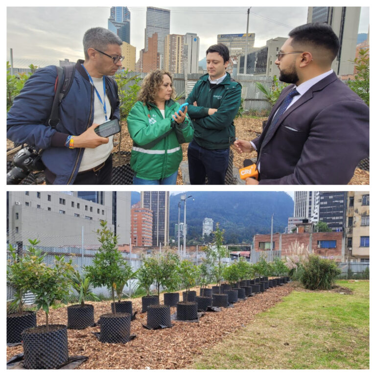 Jardín Botánico y RenoBo unidos para revitalizar y reverdecer el centro de Bogotá