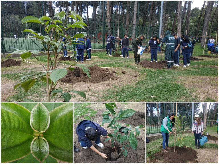 ¡Misión cumplida! Bosque urbano de San Carlos se fortaleció con 473 nuevos árboles y arbustos