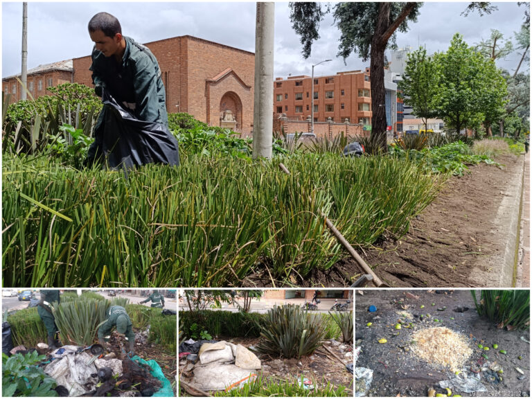 Las 13 jardineras de la calle 72 necesitan del buen comportamiento de la ciudadanía