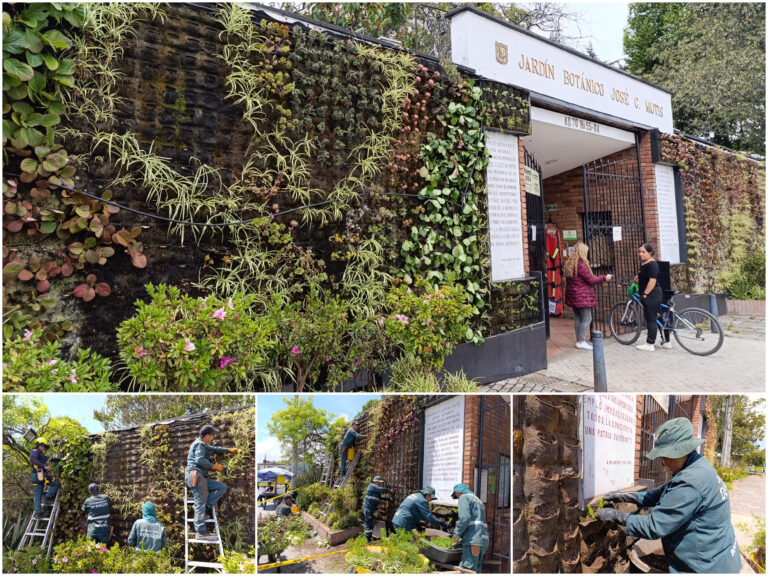 La renovación de un jardín vertical icónico