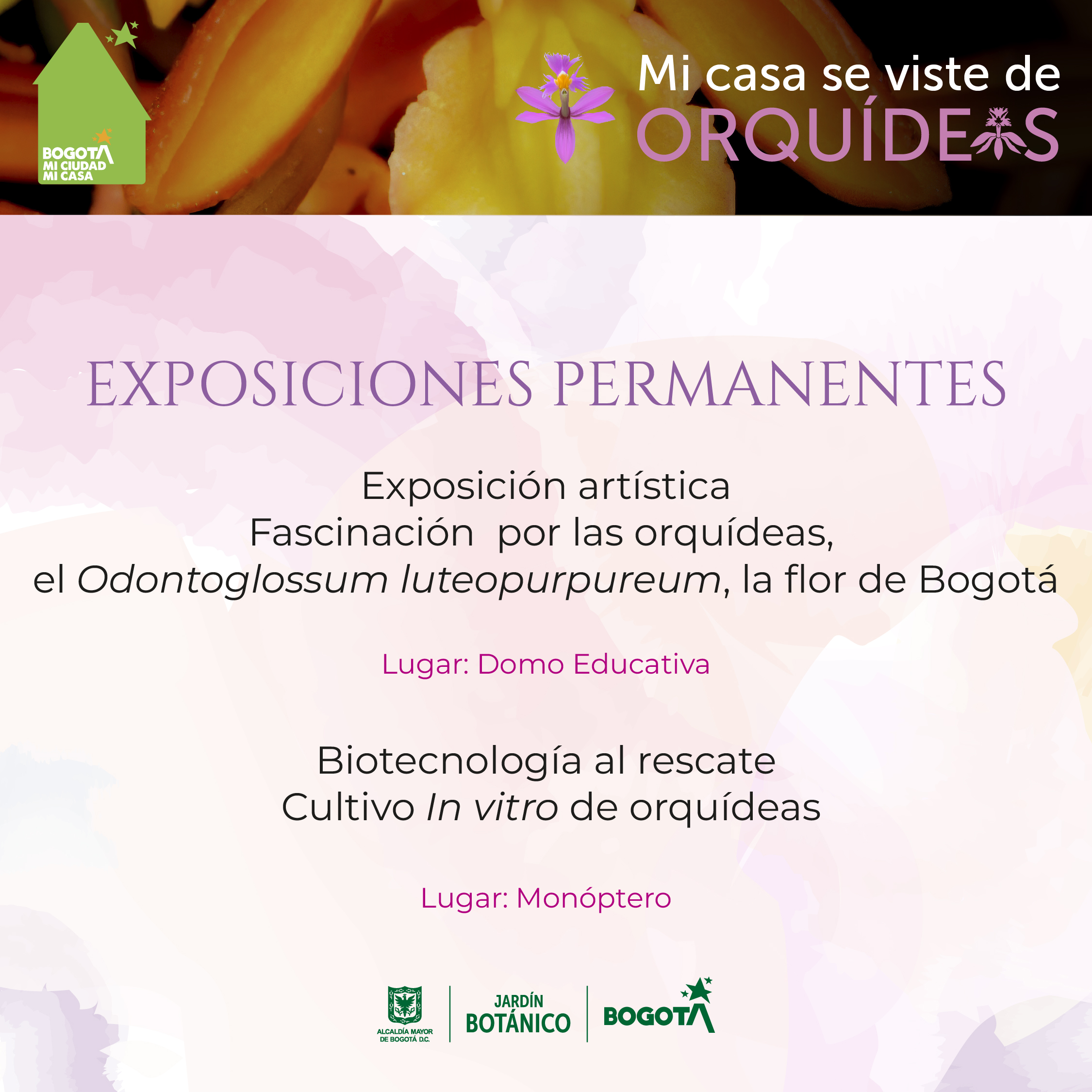 agenda orquideas 1