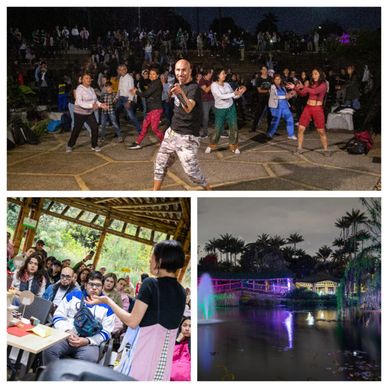 Jardín de noche 27 Jornada